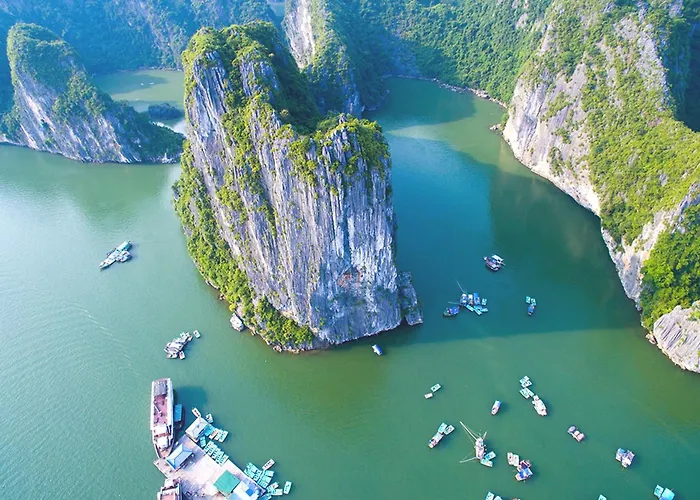 Alex Ha Long