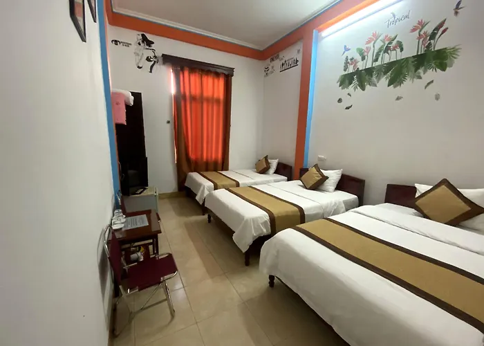 Hotel Alex