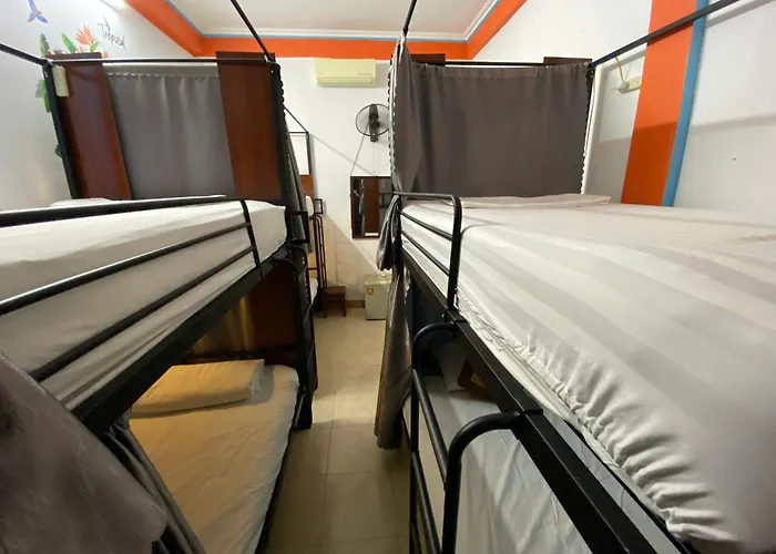 Hotel Alex Ha Long
